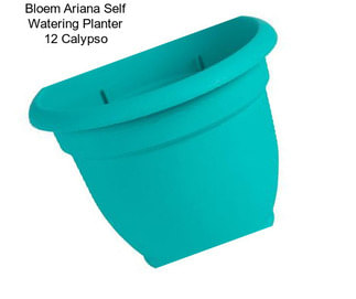 Bloem Ariana Self Watering Planter 12\