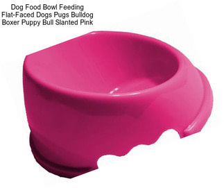 Dog Food Bowl Feeding Flat-Faced Dogs Pugs Bulldog Boxer Puppy Bull Slanted Pink