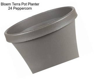 Bloem Terra Pot Planter 24\