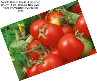 Tomato Garden Seeds - Large Red Cherry - 1 Oz - Organic, Non-GMO, Heirloom, Vegetable Gardening Seed