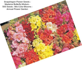 Snapdragon Flower Seeds - Madame Butterfly Mixture - 500 Seeds - Mix Color Blooms - Annual Flower Garden