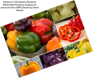 Packet of 100 Seeds, Rainbow Mixed Bell Peppers (Capsicum annuum) Non-GMO Seeds by Seed Needs