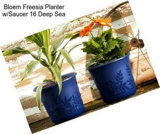 Bloem Freesia Planter w/Saucer 16\