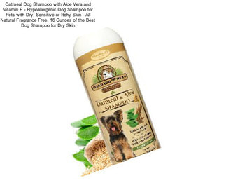Oatmeal Dog Shampoo with Aloe Vera and Vitamin E - Hypoallergenic Dog Shampoo for Pets with Dry, Sensitive or Itchy Skin - All Natural Fragrance Free, 16 Ounces of the Best Dog Shampoo for Dry Skin
