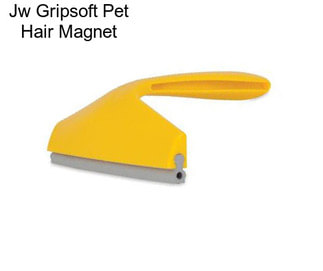 Jw Gripsoft Pet Hair Magnet