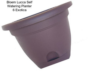 Bloem Lucca Self Watering Planter 6\