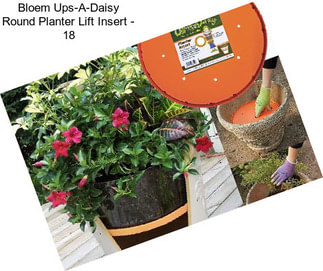 Bloem Ups-A-Daisy Round Planter Lift Insert - 18\