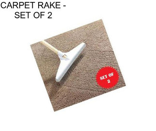 CARPET RAKE - SET OF 2