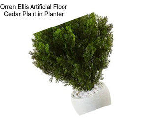 Orren Ellis Artificial Floor Cedar Plant in Planter