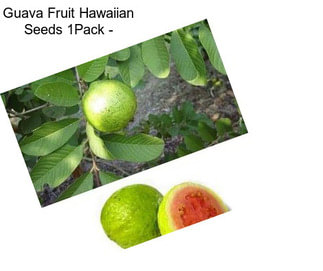 Guava Fruit Hawaiian Seeds 1Pack -