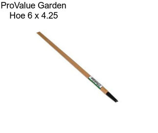 ProValue Garden Hoe 6\