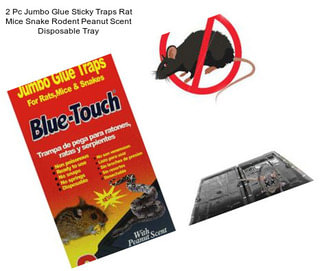 2 Pc Jumbo Glue Sticky Traps Rat Mice Snake Rodent Peanut Scent Disposable Tray