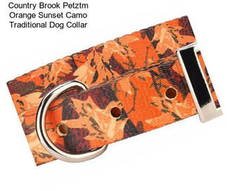 Country Brook Petztm Orange Sunset Camo Traditional Dog Collar