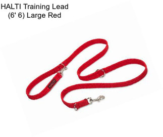 HALTI Training Lead (6\' 6\