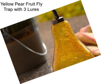 Yellow Pear Fruit Fly Trap with 3 Lures