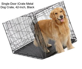 Single Door iCrate Metal Dog Crate, 42-Inch, Black