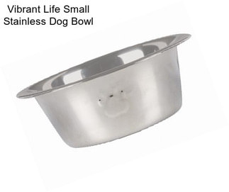 Vibrant Life Small Stainless Dog Bowl