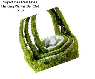 SuperMoss Real Moss Hanging Planter Set (Set of 6)