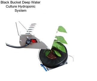 Black Bucket Deep Water Culture Hydroponic System