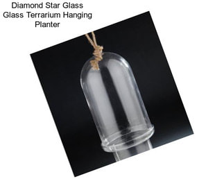 Diamond Star Glass Glass Terrarium Hanging Planter