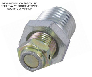 NEW SNOW PLOW PRESSURE RELIEF VALVE FITS MEYER WITH BUSHING 08743 8473