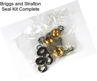 Briggs and Stratton Seal Kit Complete