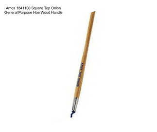 Ames 1841100 Square Top Onion General Purpose Hoe Wood Handle