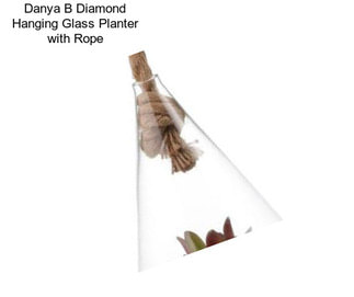 Danya B Diamond Hanging Glass Planter with Rope