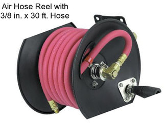 Air Hose Reel with 3/8 in. x 30 ft. Hose