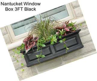 Nantucket Window Box 3FT Black