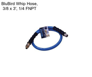 BluBird Whip Hose, 3/8\