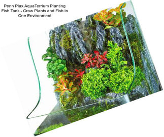 Penn Plax AquaTerrium Planting Fish Tank - Grow Plants and Fish in One Environment