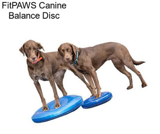 FitPAWS Canine Balance Disc