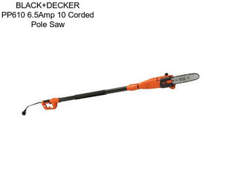 BLACK+DECKER PP610 6.5Amp 10\