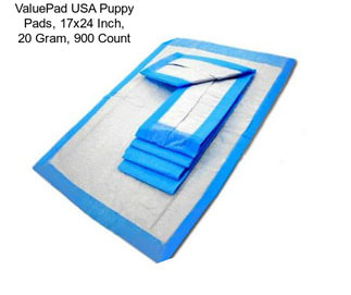 ValuePad USA Puppy Pads, 17x24 Inch, 20 Gram, 900 Count