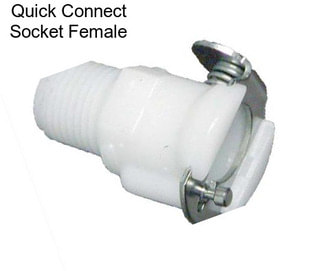 Quick Connect Socket Female