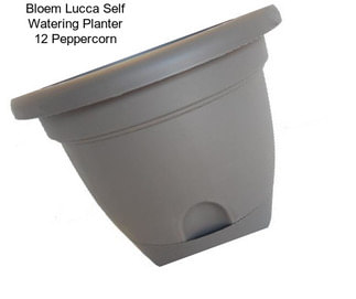 Bloem Lucca Self Watering Planter 12\