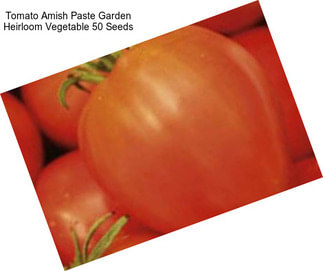 Tomato Amish Paste Garden Heirloom Vegetable 50 Seeds