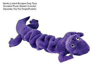 Gecko Lizard Bungee Dog Toys Durable Plush Stretch Colorful Squeaky Toy For Dogs(Purple)