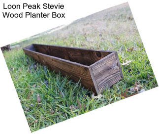 Loon Peak Stevie Wood Planter Box