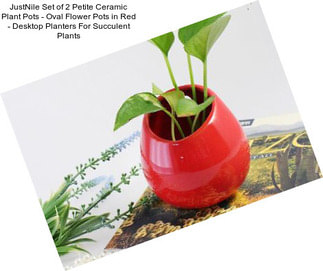 JustNile Set of 2 Petite Ceramic Plant Pots - Oval Flower Pots in Red - Desktop Planters For Succulent Plants