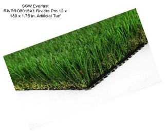 SGW Everlast RIVPRO8015X1 Riviera Pro 12 x 180 x 1.75 in. Artificial Turf