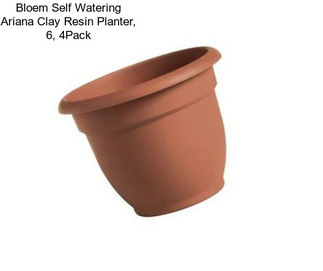 Bloem Self Watering Ariana Clay Resin Planter, 6\