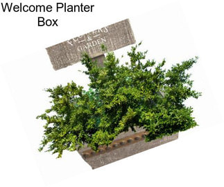 Welcome Planter Box