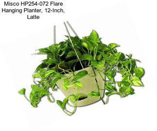 Misco HP254-072 Flare Hanging Planter, 12-Inch, Latte