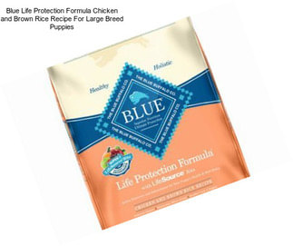 Blue Life Protection Formula Chicken and Brown Rice Recipe For Large Breed Puppies