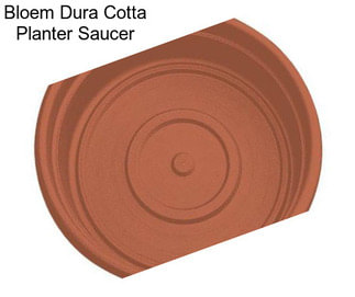 Bloem Dura Cotta Planter Saucer