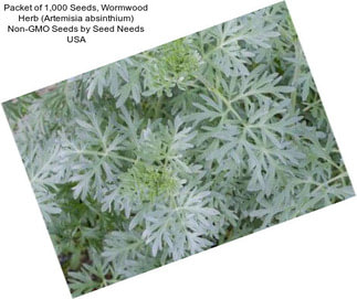 Packet of 1,000 Seeds, Wormwood Herb (Artemisia absinthium) Non-GMO Seeds by Seed Needs USA