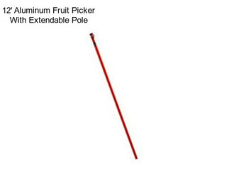12\' Aluminum Fruit Picker With Extendable Pole