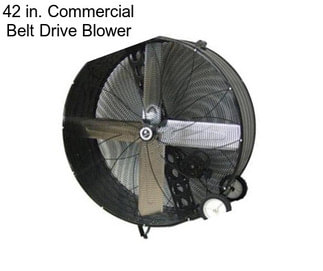 42 in. Commercial Belt Drive Blower